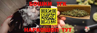 индика Первоуральск