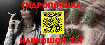 индика Первоуральск
