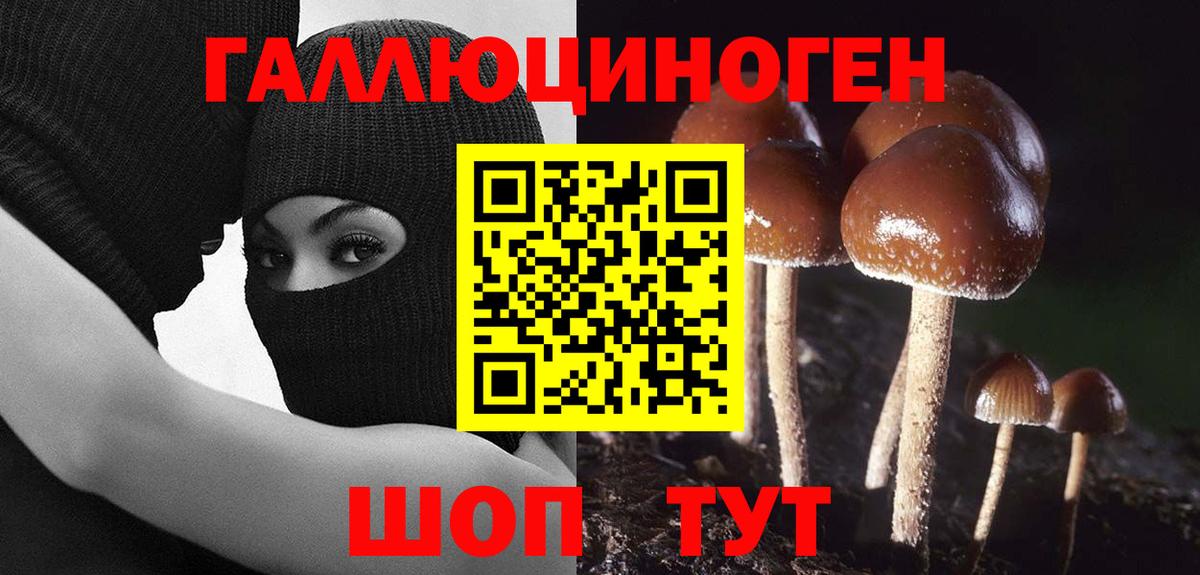Сегежа  Галлюциногенные грибы ЛСД  Псилоцибиновые грибы GOLDEN TEACHER  Вход с VPN 